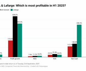 Dangote, BUA, Lafarge: Which is the most profitable in H1 2025?