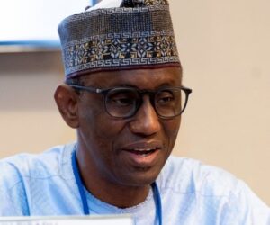 Nigeria’s milestones against insecurity – Blueprint Newspapers Limited