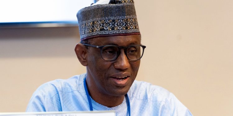 Nigeria’s milestones against insecurity – Blueprint Newspapers Limited