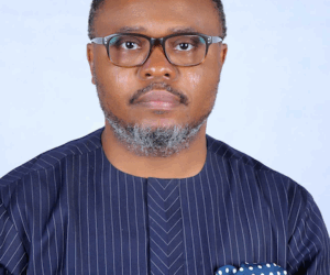 The Electricity Act Amendment Bill 2025: The need for a cautious rethink, By Odion Omonfoman