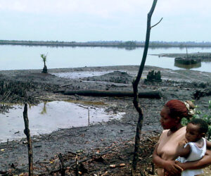 Sale of Nigerian oil assets violate international law, frustrate environmental cleanup