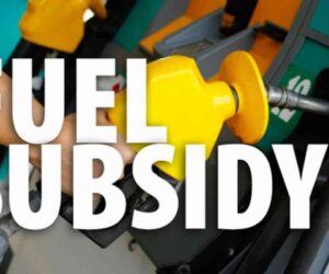 You benefited heavily from subsidy, ex-Presidential aide tackles Otedola – Daily Trust