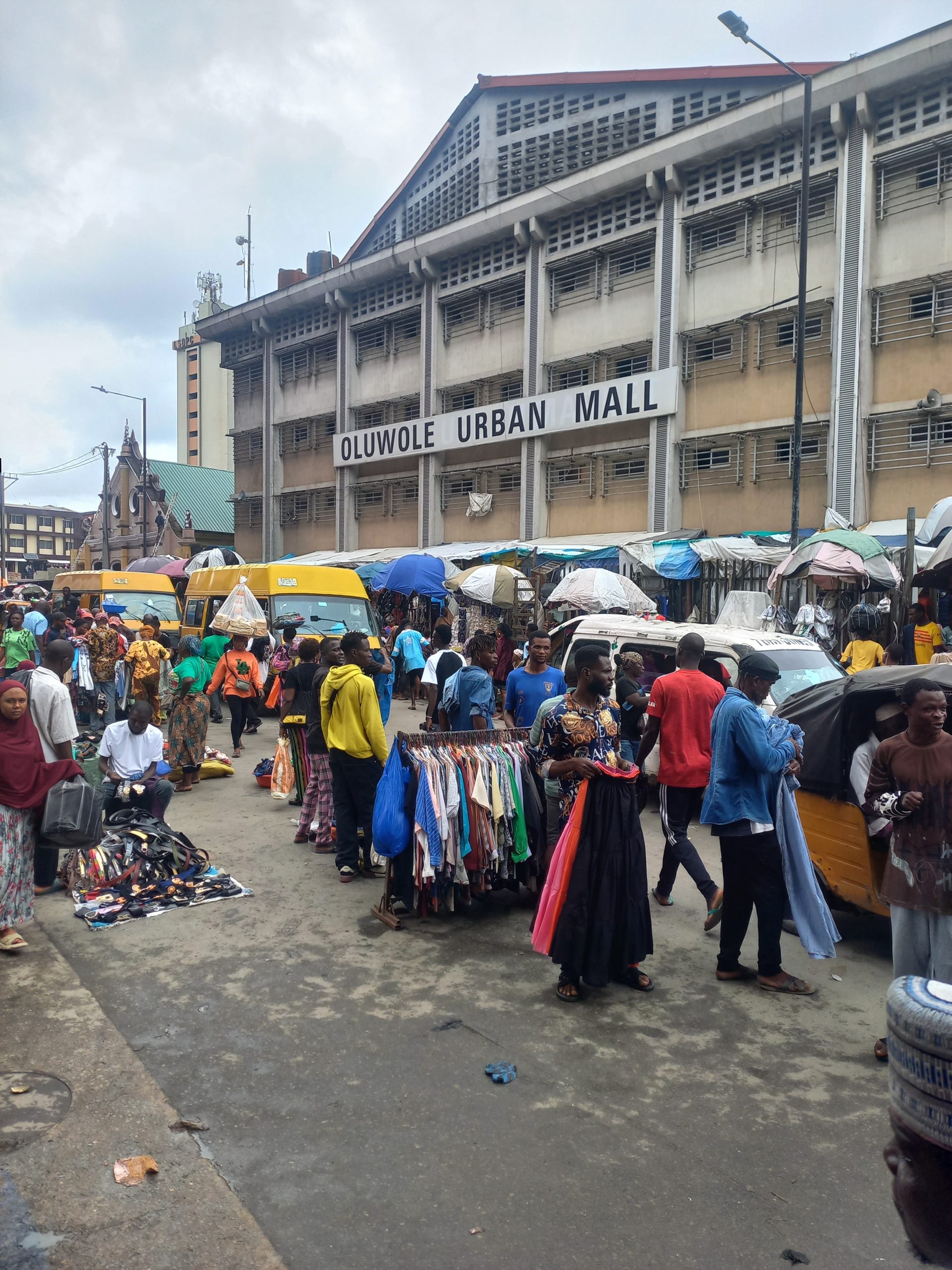 Journalist secures 2 jobs with Oluwole certificates – Daily Trust