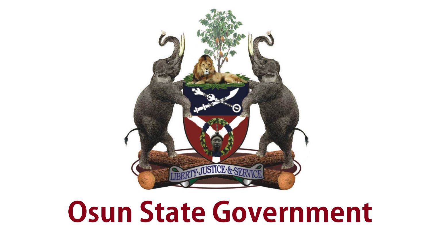 Osun seeks transfer of LG funds case from Abuja to Osogbo – Daily Trust