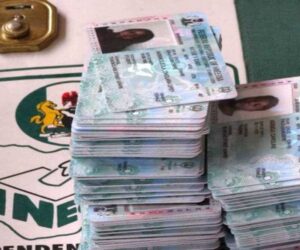 CDD warns millions risk exclusion from 2027 elections – Daily Trust