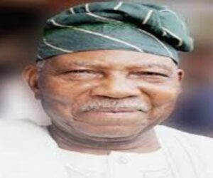 Encourage business entrepreneurs in livestock sector to set up ranches — Afenifere tells govts