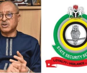 BREAKING: Court Rules In DSS Suit Challenging Pat Utomi’s ‘Shadow Cabinet’