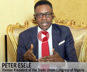 Peter Esele Urges Dialogue in Dangote-PENGASSAN Rift: ‘Refinery Must Function, Workers Must Unionise’