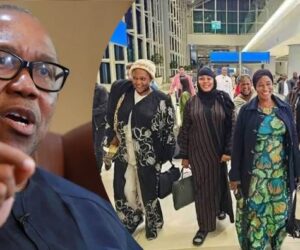 Peter Obi Slams Adamawa LG Chairmen Over ₦600m Turkey Trip For Wives’ Leadership Training