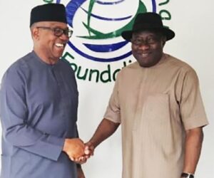 Obidient Movement Denies Begging Jonathan To Step Down For Peter Obi – Independent Newspaper Nigeria