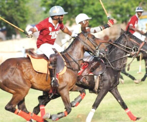 Record entry as 2025 Kano Int. Polo fiesta gallops off Sept 21 – Daily Trust