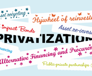 The critical tests of privatization: Credibility, capacity and momentum