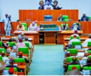 House Committee On Downstream Vows To Resolve Dangote/NUPENG Face-off – Independent Newspaper Nigeria