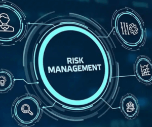 Risk management professionals hinge capital market future on regulation