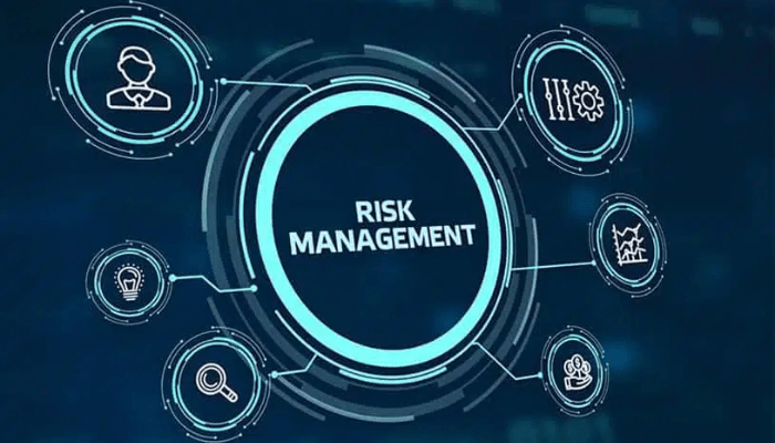 Risk management professionals hinge capital market future on regulation