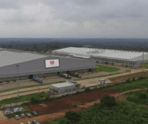 Rite Foods champions World Clean-Up Day, commits to sustainability