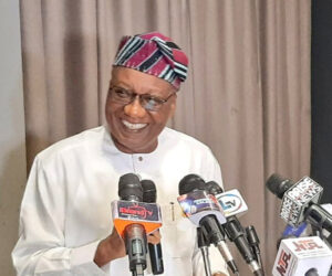 INEC Lifts Campaign Ban for 2026 FCT Area Council Elections