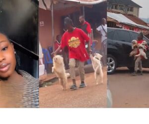 Lady Captures Hilarious Moment a Girl Struggles to Control Two Energetic Dogs on the Road (WATCH)