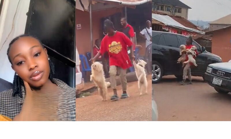 Lady Captures Hilarious Moment a Girl Struggles to Control Two Energetic Dogs on the Road (WATCH)
