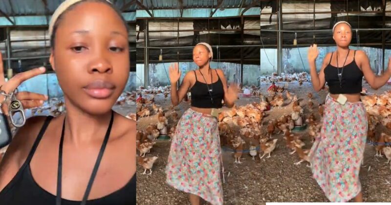 Lady Showcases Her Poultry Business, Encourages Others To Start ‘Unaesthetic’ Hustles (WATCH)