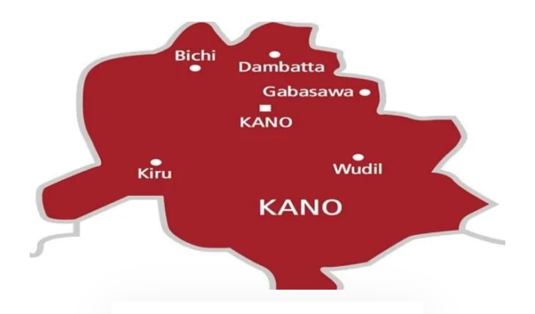 Kano Govt. Loses N1bn Annually To Non-Auctioned Used Assets