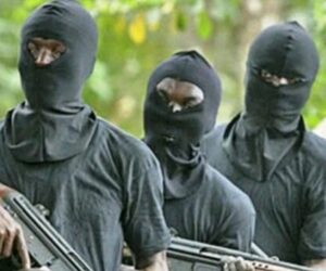Gunmen Attack BUA Factory In Edo, Kill Eight NSCDC Personnel