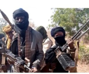 Northern Youths Seek Government Clampdown On Politicians Backing Banditry