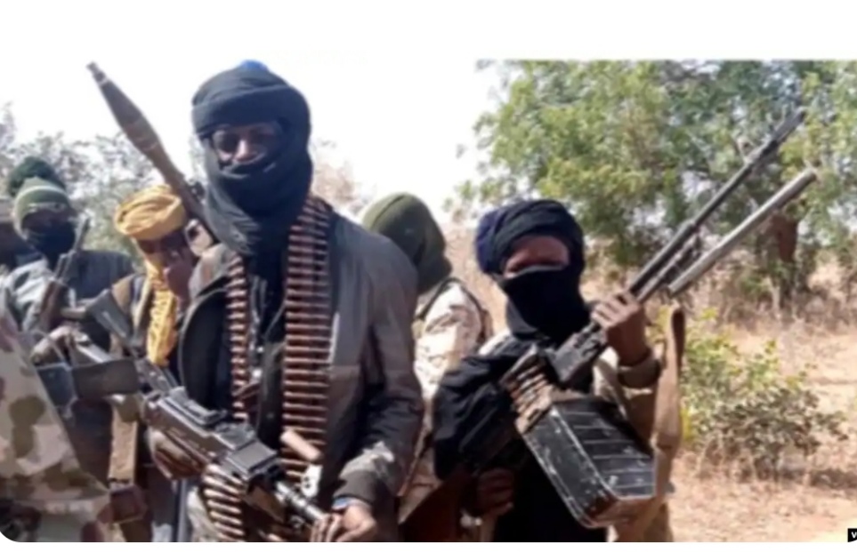 Northern Youths Seek Government Clampdown On Politicians Backing Banditry