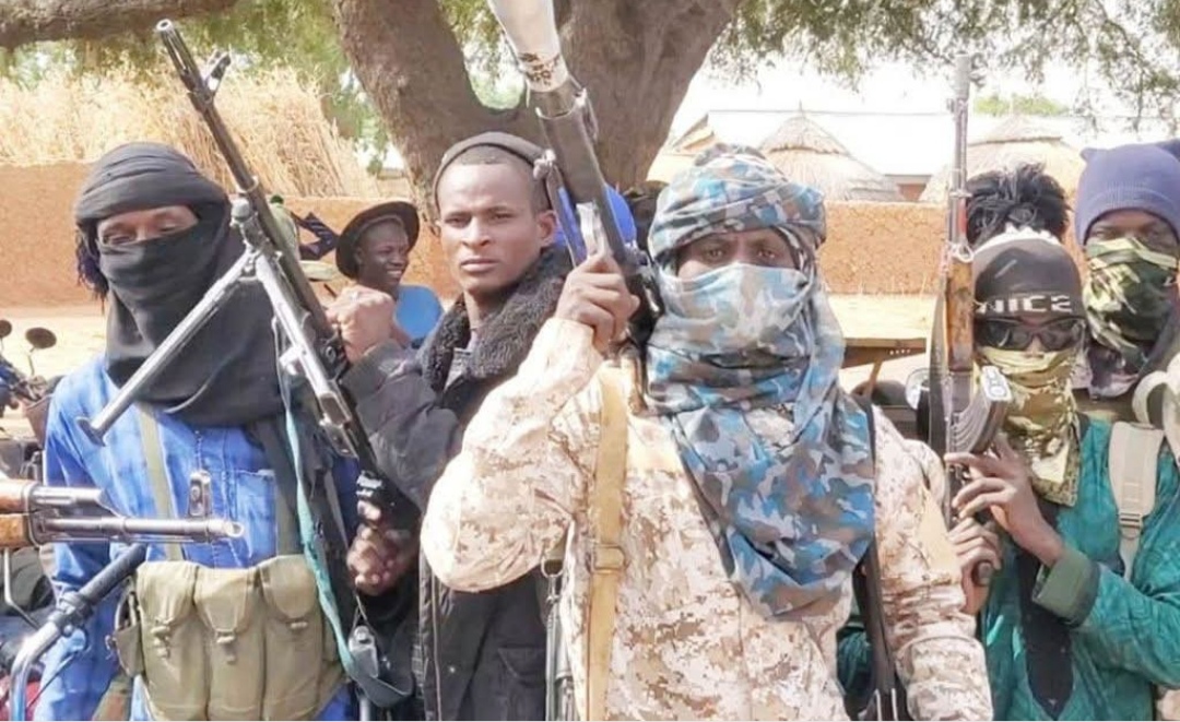 Bandits Abduct Nursing Mothers, Leave Sick Infants Behind In Niger