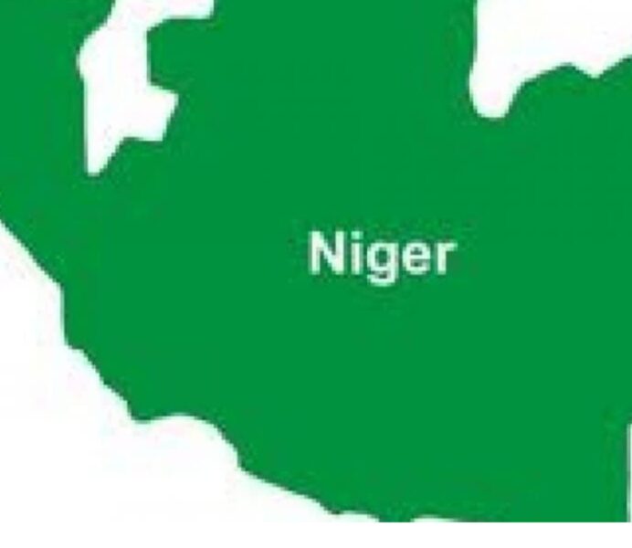 Diphtheria Outbreak In Niger State Claims Lives Of Children In Agaie, Bida