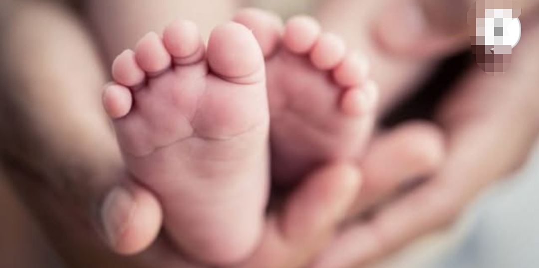 Nasarawa Police Nab Woman Over Abandoned Baby In Akwanga Bush