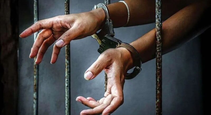 Katsina Police Nab Notorious Car Snatcher, Recover Stolen Vehicle