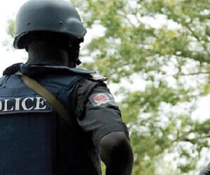 Cross River Police Arrest Car Snatcher, Recover Stolen Toyota Highlander