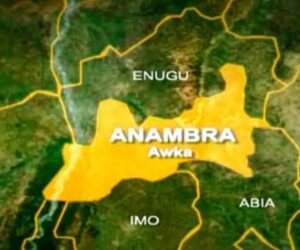 Anambra Local Government Employees Protest Dues Diversion, Call For Massive Recruitment