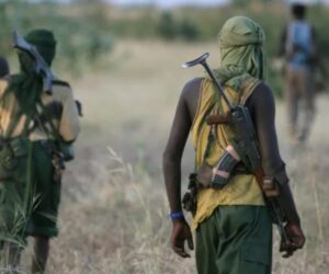 Teenage Farmer Shot Dead In Fresh Farmer-Herder Clash In Borno