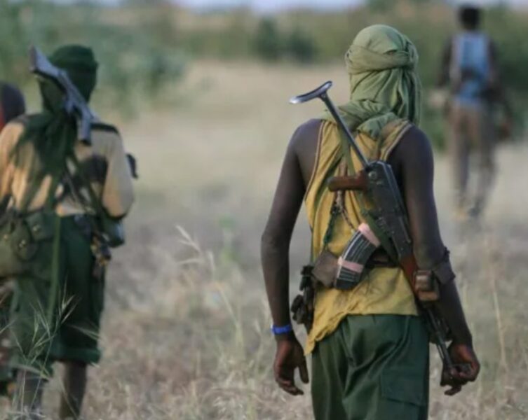 Teenage Farmer Shot Dead In Fresh Farmer-Herder Clash In Borno