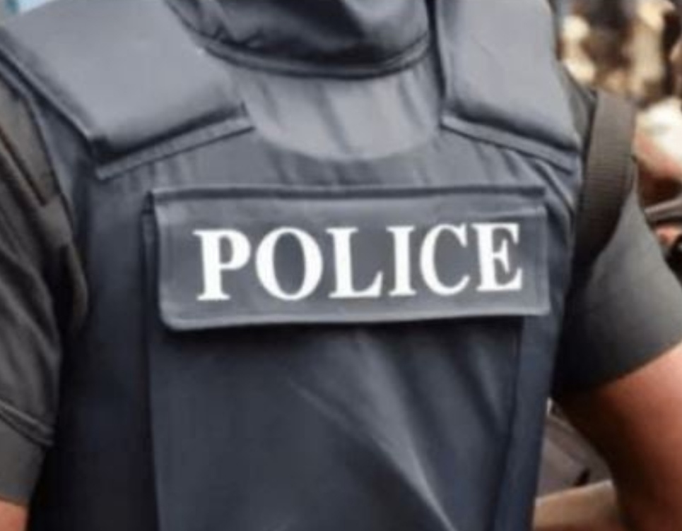Jigawa Police Arrest Four Suspects For Alleged Cattle Rustling, Car Theft