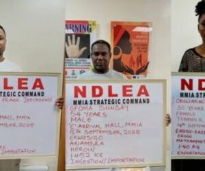 NDLEA Nabs Brazil Returnees With 116 Wraps Of Heroin, Cocaine