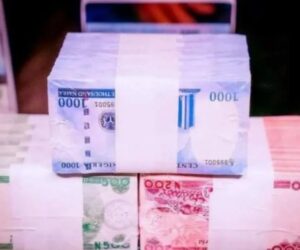 Katsina Councillor Faces EFCC Petition For Spraying Naira At Social Event