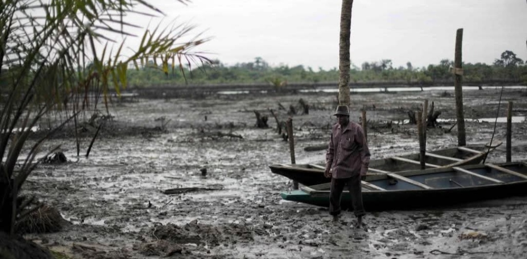 Group Demands Exoneration Of Ken Saro-Wiwa, Environmental Clean Up, Before FG Restarts Oil Exploration In Ogoniland