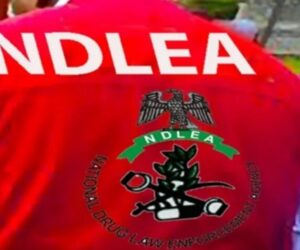 Two Suspected Drug Kingpins Nabbed In Lagos As NDLEA Seizes Cocaine, Heroin, Methamphetamine
