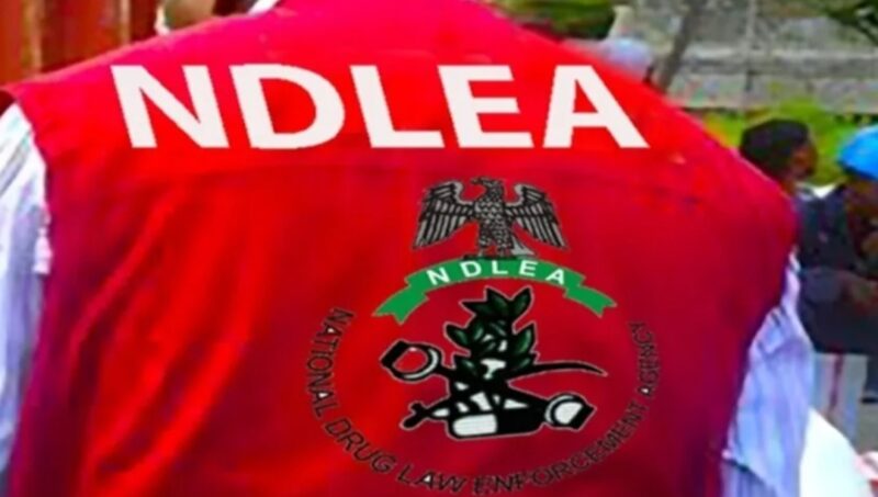 Two Suspected Drug Kingpins Nabbed In Lagos As NDLEA Seizes Cocaine, Heroin, Methamphetamine