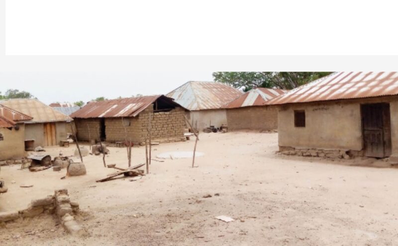 Ex-SUBEB Chair, Several Others Abducted As Bandits Attack Niger Communities