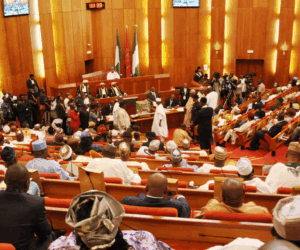 ‘Display of impunity’ – Ex-commissioner knocks Senate for blocking Natasha’s return