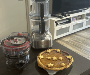 I blended everything but the kitchen sink with the Breville Paradice 9 food processor – here’s how it fared
