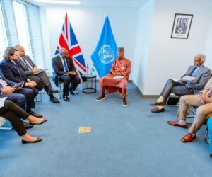 UNGA 80: Shettima Meets Guterres Over Nigeria’s Security Council Bid
