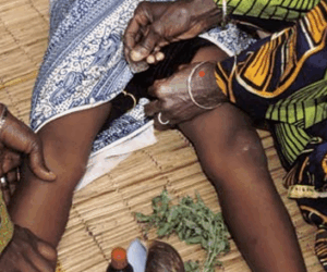 UNICEF Urges Swift Action To Save 20 Million Nigerian Girls – Independent Newspaper Nigeria
