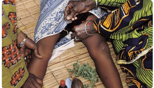 UNICEF Urges Swift Action To Save 20 Million Nigerian Girls – Independent Newspaper Nigeria