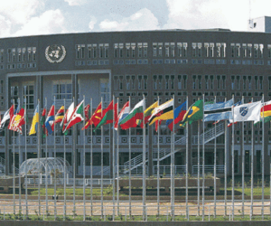 Youth empowerment group calls for inclusive policies, grassroots action at UN Peace Day event
