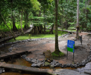 Review of tourism sector Acts: Ministry assures on critical look, stakeholders sue for win-win